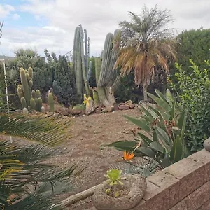 Cactus , Santa Cruz de Tenerife España